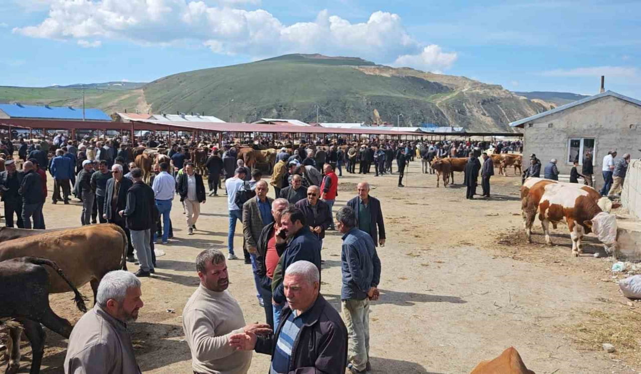YAKLAŞAN KURBAN BAYRAMI ÖNCESİ ERZURUM’UN AŞKALE İLÇESİNDE KURBAN PAZARI HAREKETLENMEYE...