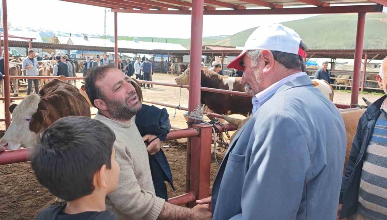 YAKLAŞAN KURBAN BAYRAMI ÖNCESİ ERZURUM’UN AŞKALE İLÇESİNDE KURBAN PAZARI HAREKETLENMEYE...