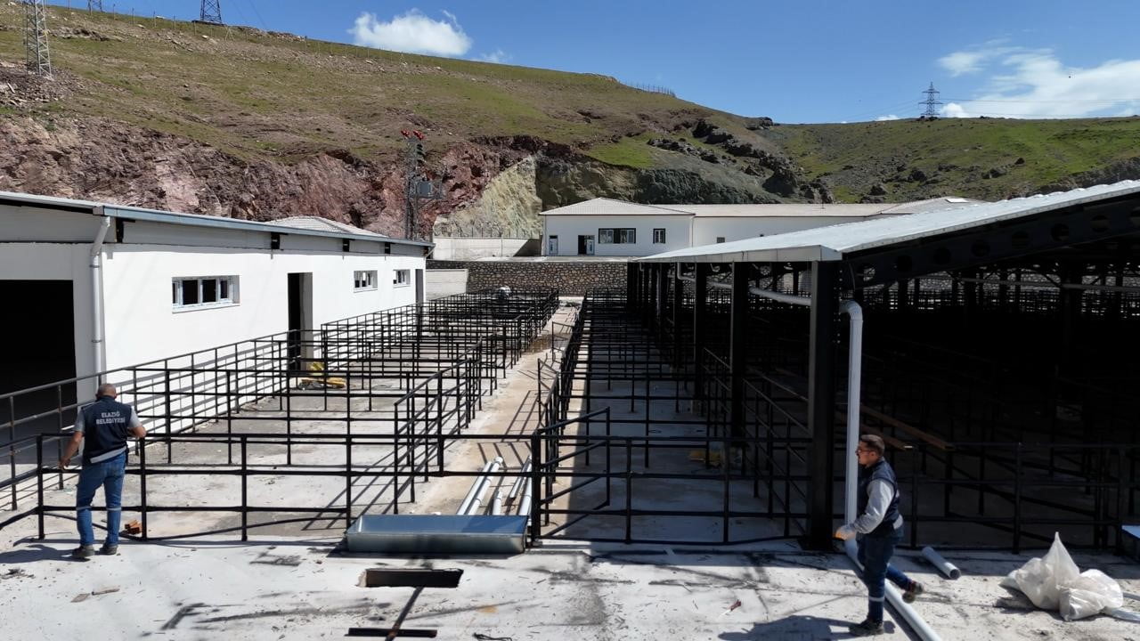 YAKLAŞAN KURBAN BAYRAMI ÖNCESİNDE ELAZIĞ’DA YENİ OLUŞTURULAN KURBAN SATIŞ VE KESİM ALANINDA...
