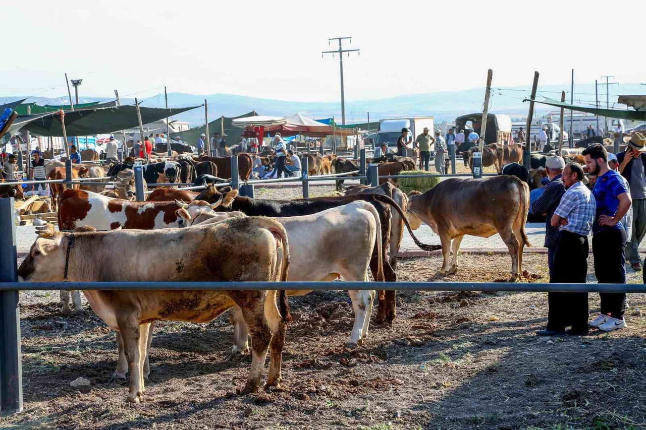YAKLAŞAN KURBAN BAYRAMI ÖNCESİNDE KONYA’NIN MERKEZ MERAM İLÇE BELEDİYESİ, VATANDAŞLARIN HUZURLU...