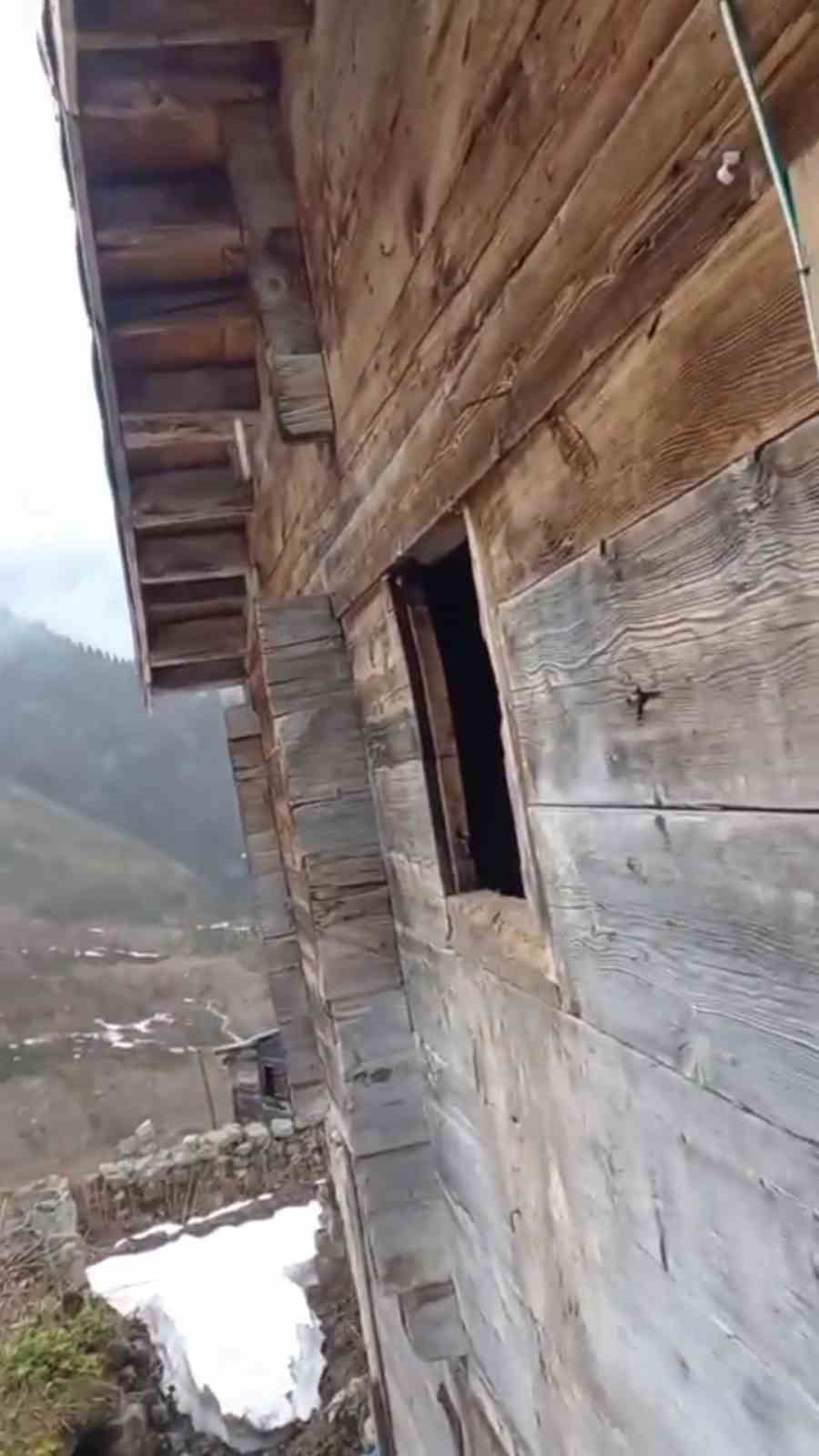 YAYLADA BULUNAN EVİNDE AYININ OLUŞTURDUĞU HASARLA KARŞI KARŞIYA KALAN YALÇIN ŞAHİN’İN YAPTIĞI...