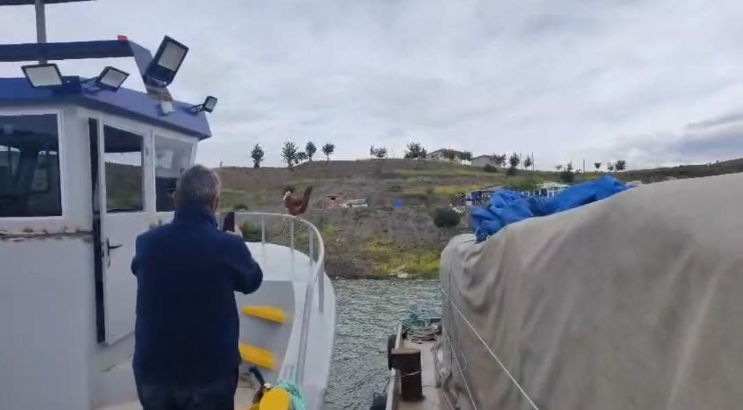 YOZGAT’IN ÇEKEREK İLÇESİNDE BALIKÇI TEKNESİNİN KORKULUKLARINA ÇIKAN TAVUK GÖRENLERİ...
