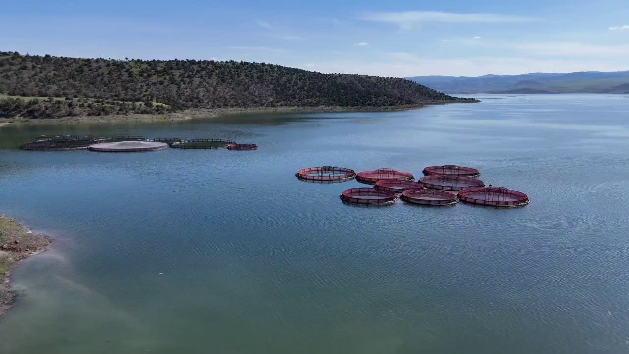 YOZGAT’TA BOZKIRIN ORTASINDA KURULAN ALABALIK VE SOMON ÜRETİM TESİSLERİNDE YENİ SEZON HAZIRLIKLARI...