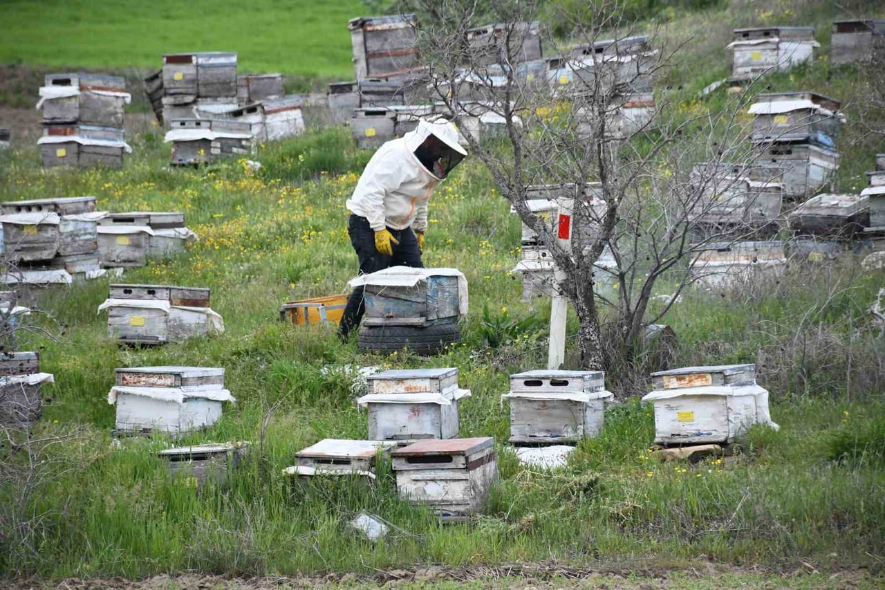 YOZGAT’TA HAVALARIN ISINMASIYLA BİRLİKTE ARICILAR YENİ SEZON İÇİN HAZIRLIKLARINI TAMAMLARKEN, BU...