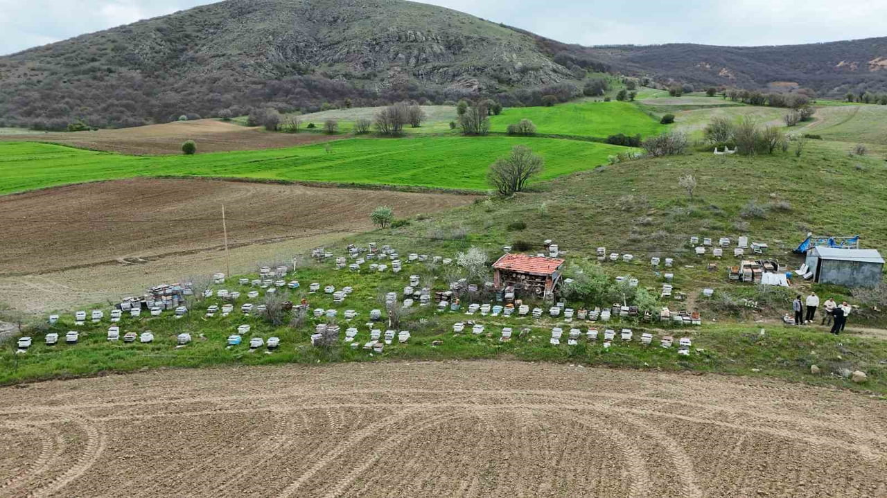 YOZGAT’TA HAVALARIN ISINMASIYLA BİRLİKTE ARICILAR YENİ SEZON İÇİN HAZIRLIKLARINI TAMAMLARKEN, BU...