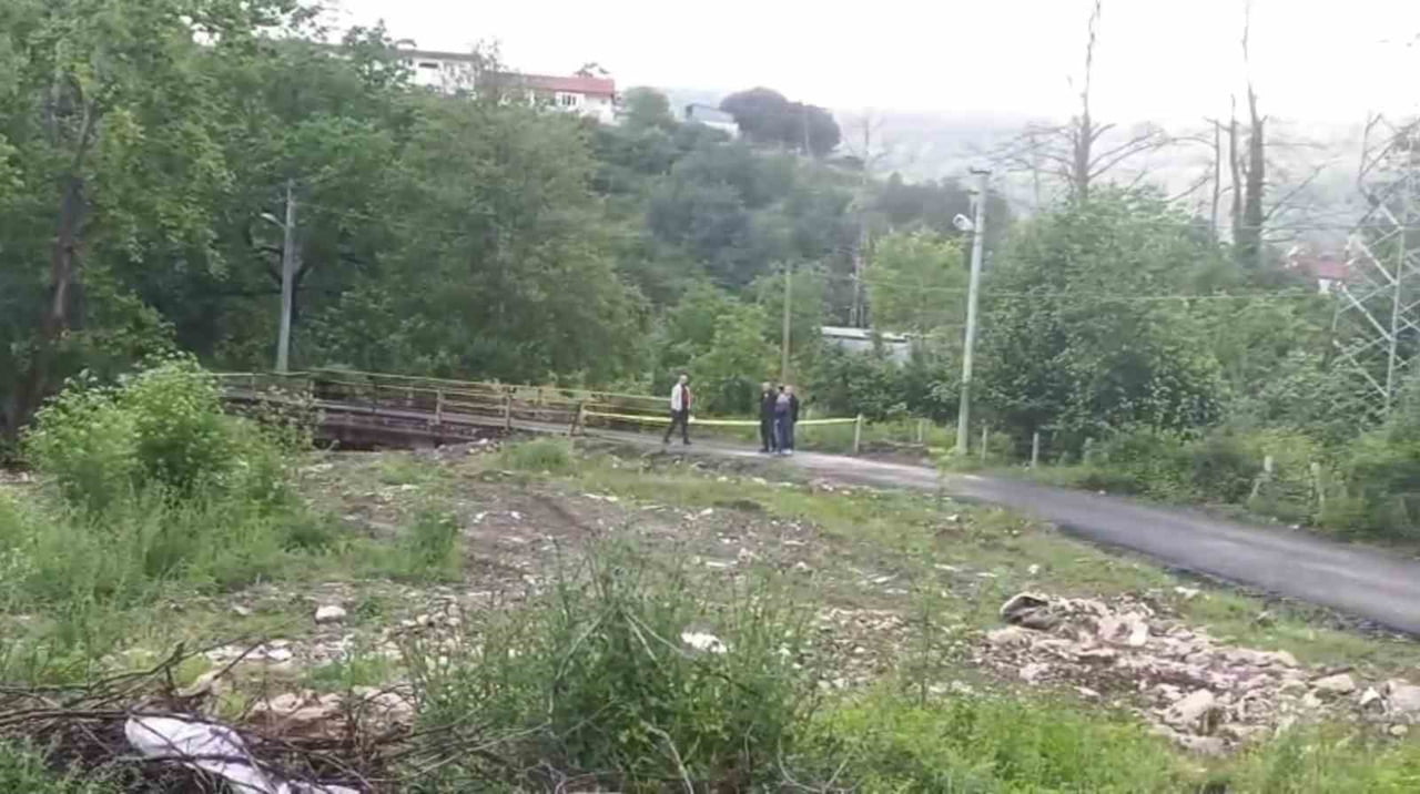 ZONGULDAK'IN DEVREK İLÇESİNDE ETKİLİ OLAN YAĞIŞLAR NEDENİYLE DERELERİN SU SEVİYESİ YÜKSELDİ;...