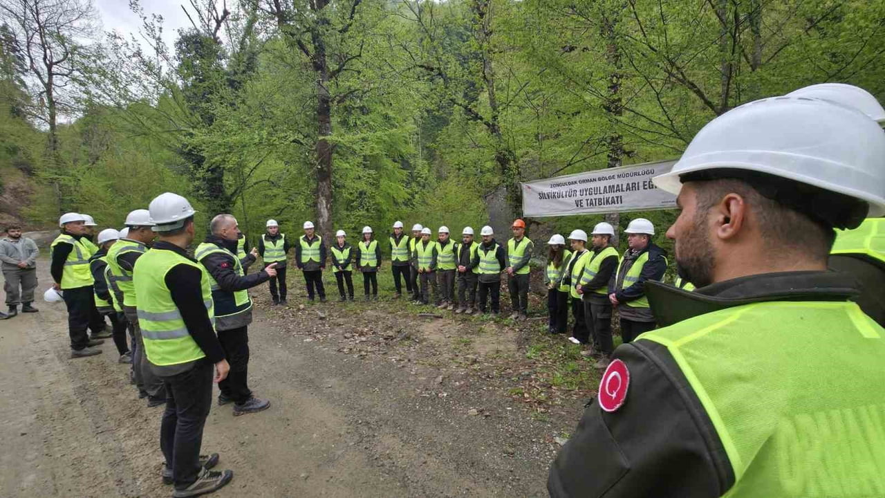 ZONGULDAK ORMAN BÖLGE MÜDÜRLÜĞÜ TARAFINDAN TÜM İŞLETME MÜDÜRLÜKLERİNDE DÜZENLENEN "SİLVİKÜLTÜR...
