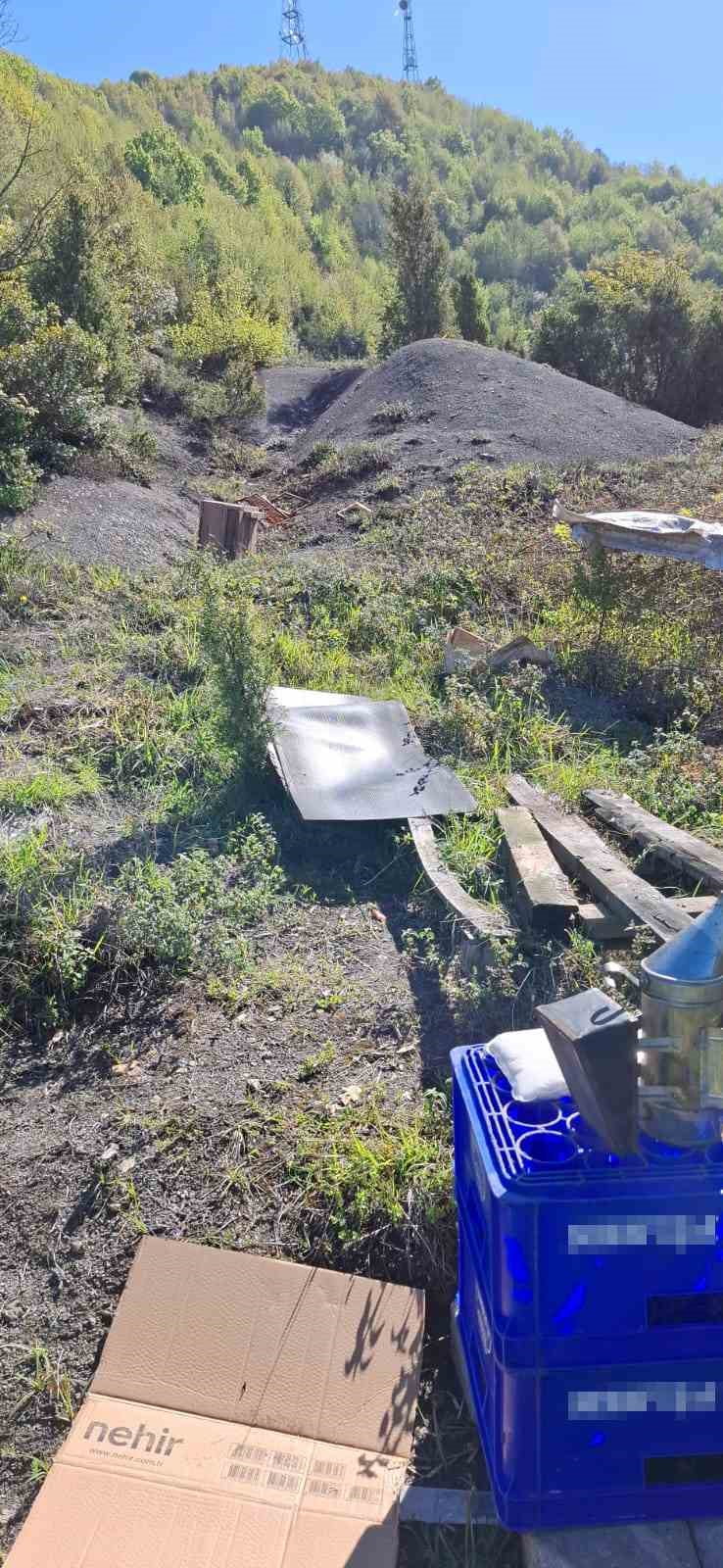 ZONGULDAK ŞEHİR MERKEZİNE SADECE 7 KİLOMETRE UZAKLIKTA KOVANLAR AYILARIN HEDEFİ OLDU