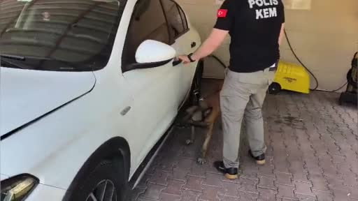 625 kilogram bonzai üretilebilecek hammadde ele geçirildi, şüphelinin "Düğüne gittim" savunması...