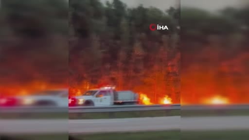 ABD'nin Florida eyaletinde orman yangınları hızla yayılarak 2 bin hektarlık alanı küle çevirdi....
