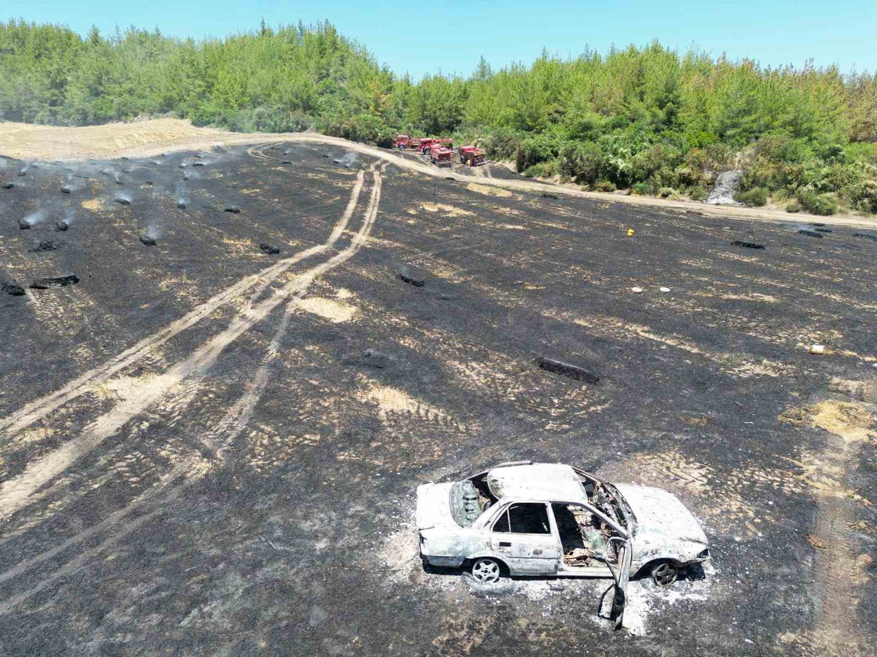 ADANA'NIN İMAMOĞLU İLÇESİNDE OTOMOBİLDE ÇIKAN YANGIN ORMANLIK ALANA SIÇRADI. YANGINA HAVADAN VE...