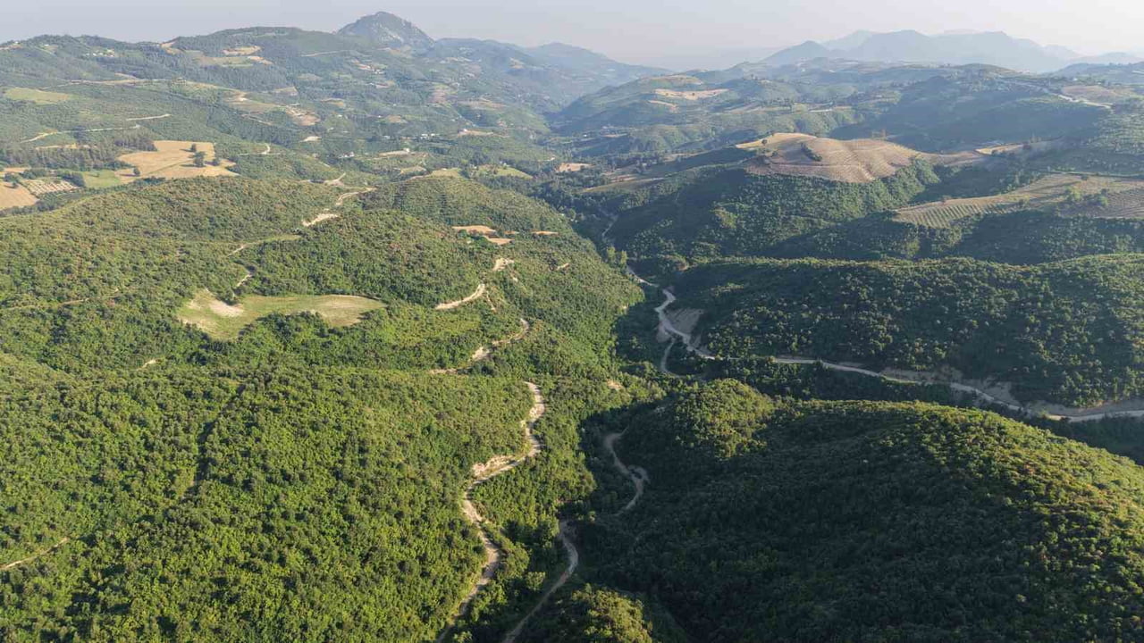 ADANA'NIN KOZAN İLÇESİNDE 23 AĞUSTOS 2020 TARİHİNDE ÇIKAN VE 8 MAHALLENİN ETKİLENDİĞİ BÜYÜK ORMAN...