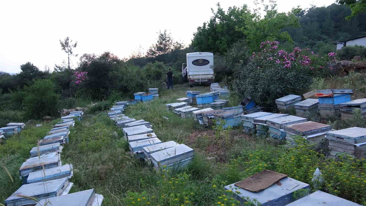 ADANA'NIN KOZAN İLÇESİNDE ARICILARIN KEVEN VE KEKİK BALI ÜRETİMİ İÇİN YAYLA YOLCULUĞU BAŞLADI....