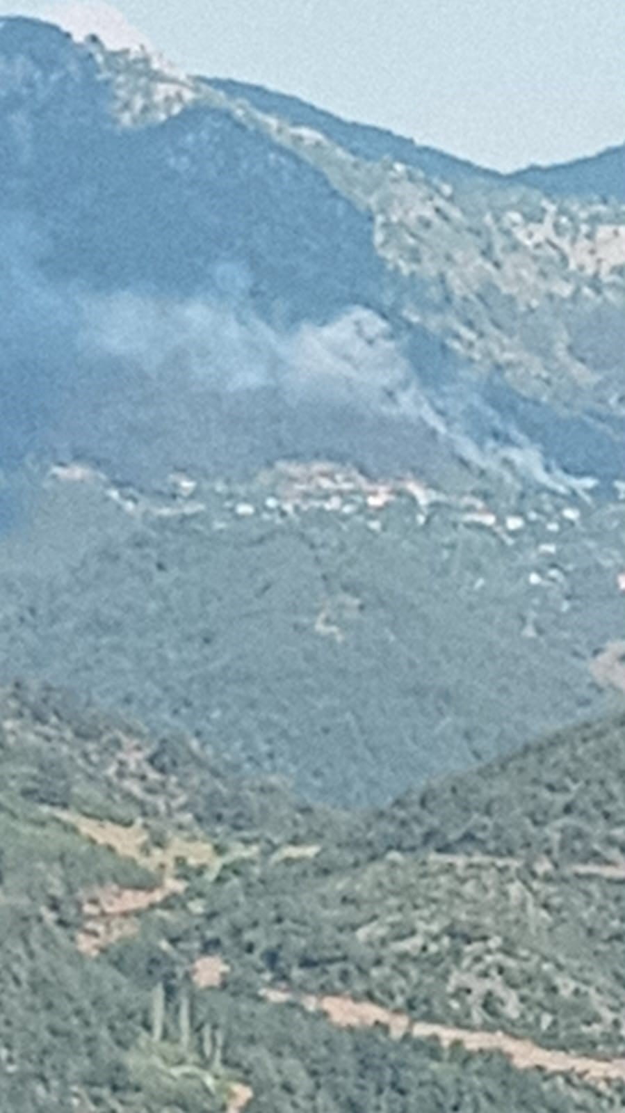 ADANA'NIN KOZAN İLÇESİNDE BİR YAYLA EVİNDE ÇIKAN YANGIN, ORMANLIK ALANA SIÇRADI. YANGINDA İKİ...