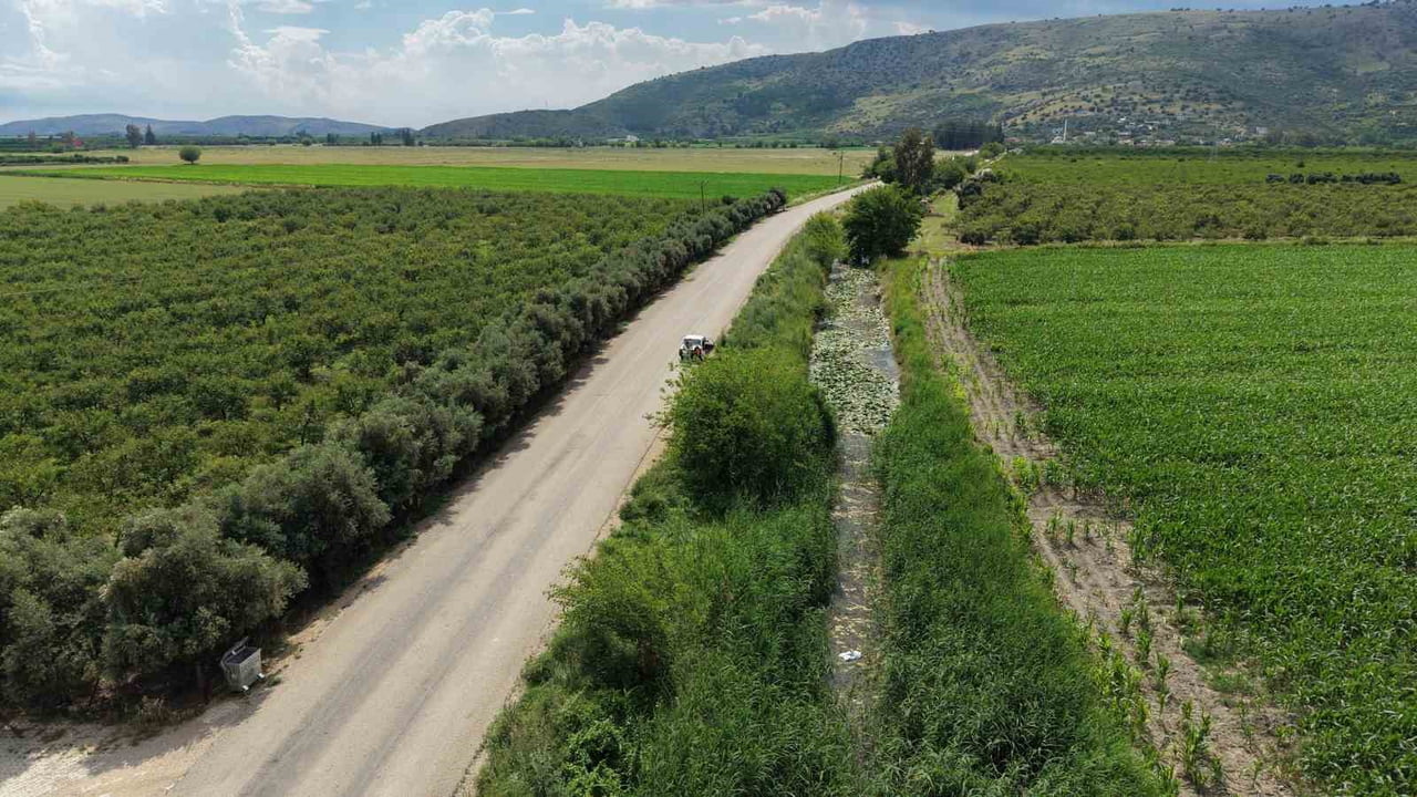 ADANA’NIN KOZAN İLÇESİNDE HER YIL BAHAR AYLARINDA AÇAN ENDEMİK NİLÜFER ÇİÇEKLERİ, BU YIL ETKİLİ...