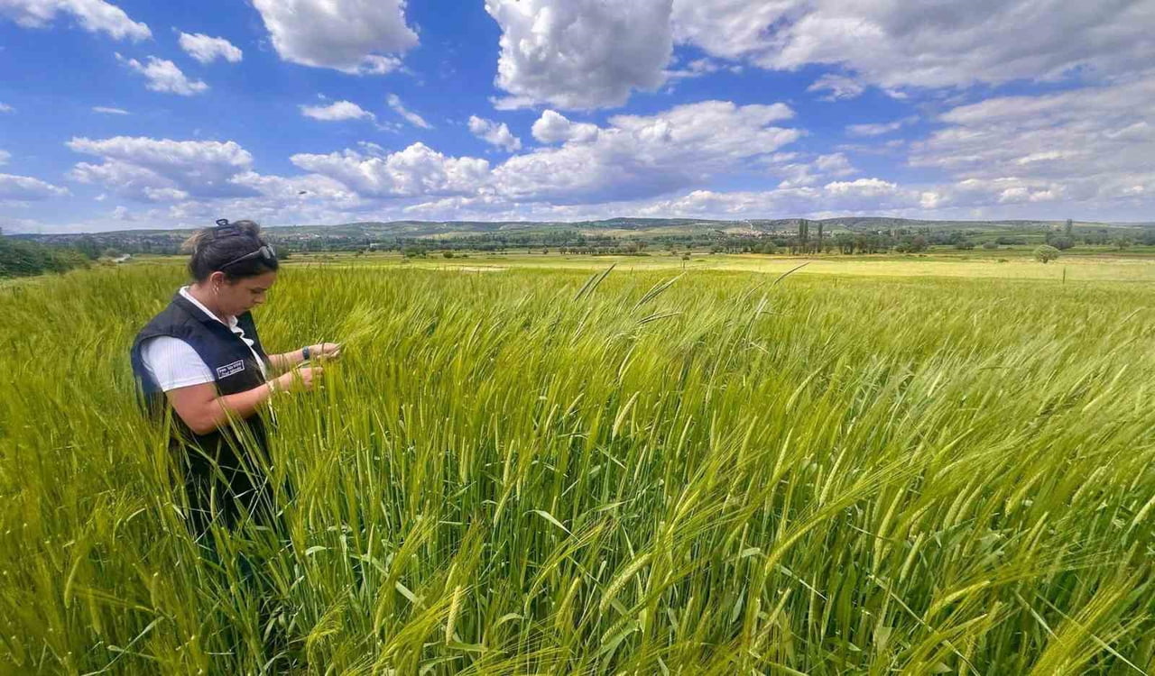 AFYONKARAHİSAR'DA  BİTKİSEL ÜRETİMİN SAĞLIKLI ŞEKİLDE SÜRDÜRÜLMESİ, ÜRETİM SEZONUNUN SAHADA...