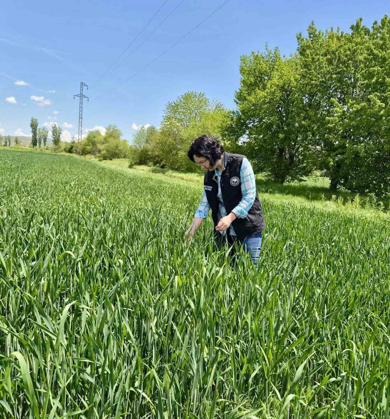 AFYONKARAHİSAR'DA  BİTKİSEL ÜRETİMİN SAĞLIKLI ŞEKİLDE SÜRDÜRÜLMESİ, ÜRETİM SEZONUNUN SAHADA...