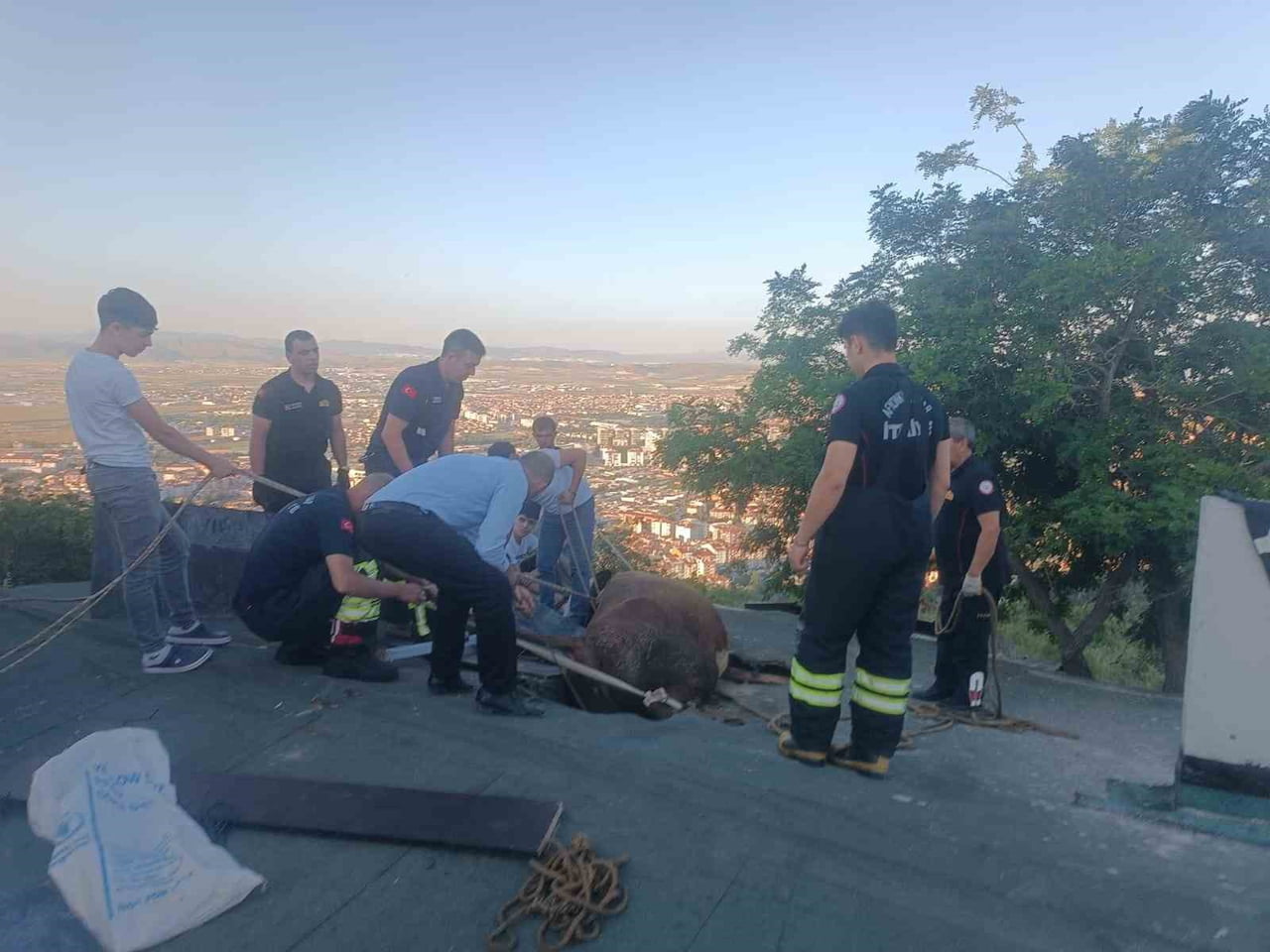 AFYONKARAHİSAR'DA OTLARKEN ÇIKTIĞI EVİN ÇATISININ BİR KISMININ ÇÖKMESİ ÜZERİNE MAHSUR KALAN İNEK...