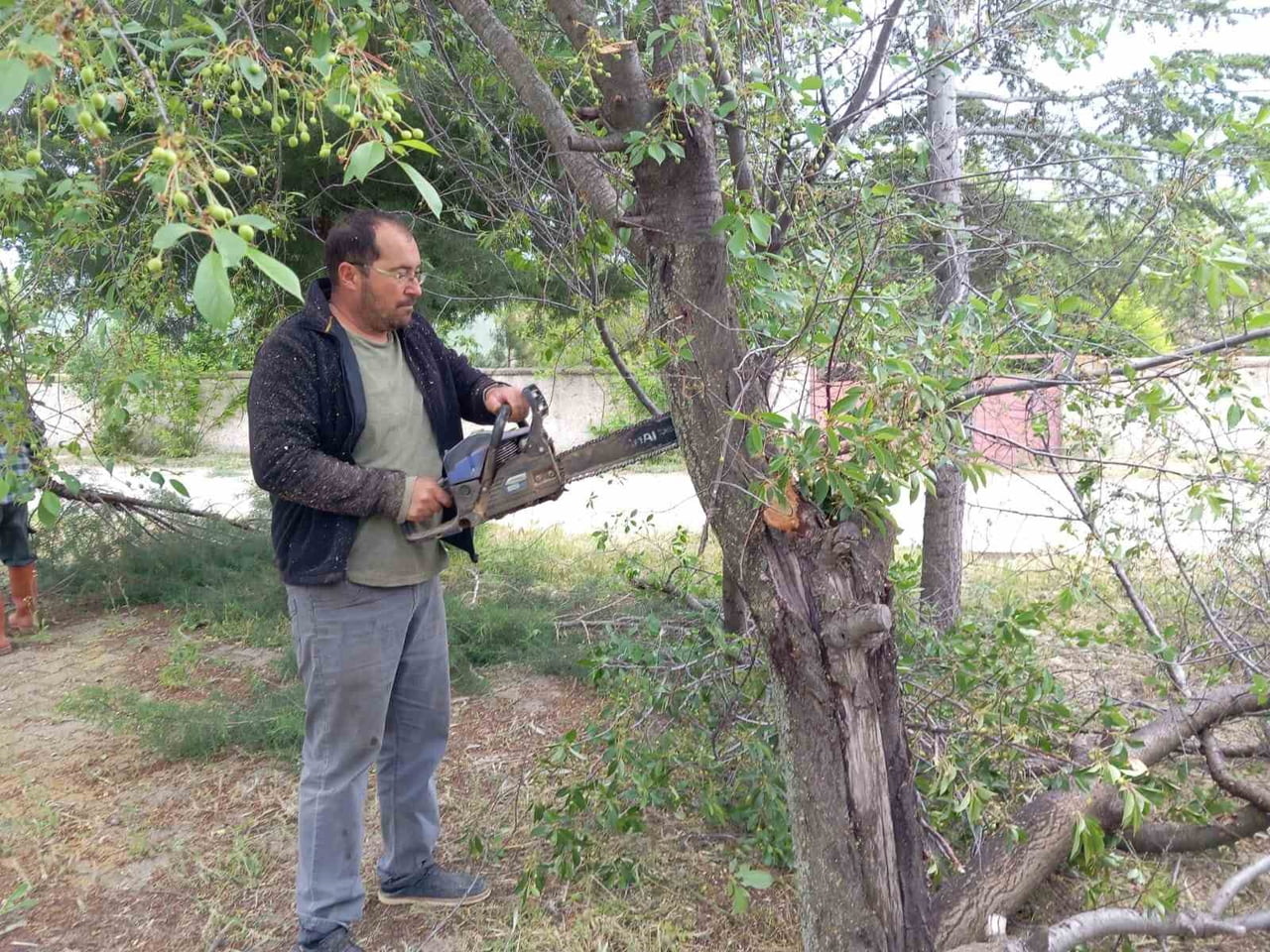 AFYONKARAHİSAR'IN EMİRDAĞ İLÇESİNDE BULUNAN YARIMCA KÖYÜ'NÜN MUHTARI ALİ ÜN, PARKTAKİ ÇÜRÜYEN VE...
