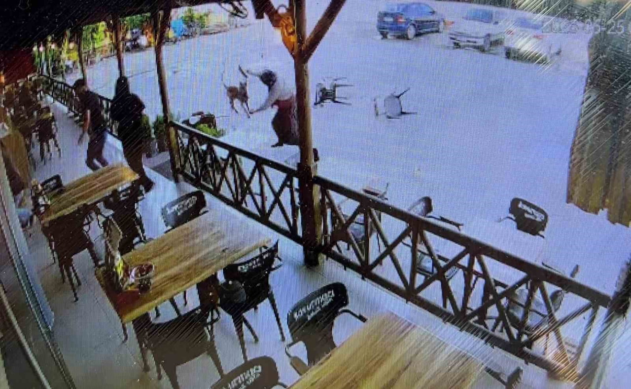 AFYONKARAHİSAR’DA KIZIYLA BİRLİKTE DİNLENME TESİSİNE GELEN KADINA SALDIRAN KÖPEK, KADININ KOLUNU...
