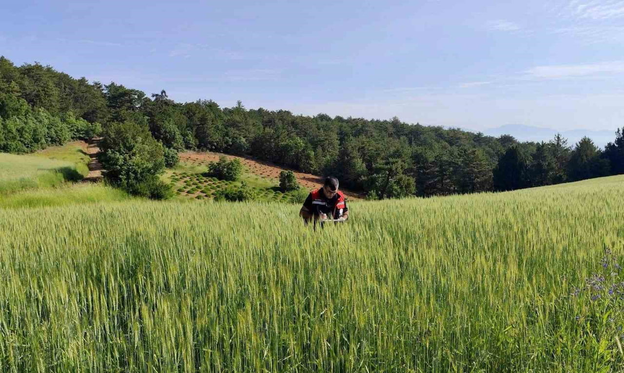 AFYONKARAHİSAR’DA TARIMSAL ÜRETİMİN PLANLI ŞEKİLDE YÜRÜTÜLMESİ, ÜRETİM VERİLERİNİN DOĞRULUĞUNUN...