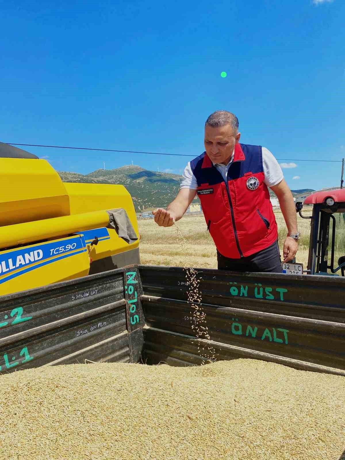 AFYONKARAHİSAR’IN DİNAR İLÇESİNDE HUBUBAT HASAT SEZONUNUN BAŞLAMASIYLA BİRLİKTE, DİNAR İLÇE TARIM...