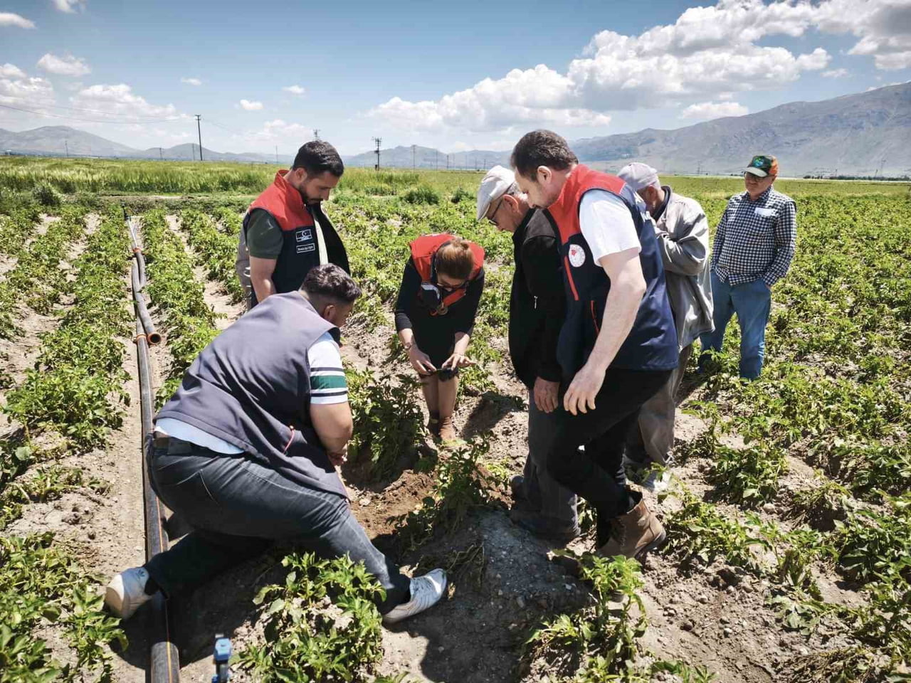 AFYONKARAHİSAR’IN DİNAR İLÇESİNDE YAŞANAN DOLU YAĞIŞI SONRASI TARIM ARAZİLERİNDE HASAR TESPİT...