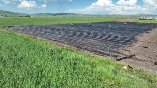Ağrı’da 300 bin çilek fidesi üreticilerle buluştu