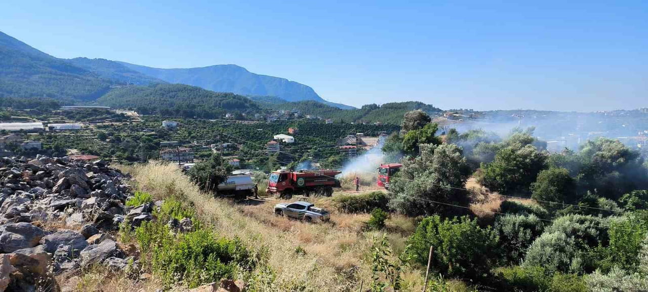 ALANYA İLÇESİNDE MUŞMULA VE ZEYTİN AĞAÇLARININ YER ALDIĞI ZİRAİ ALANDA ÇIKAN YANGIN, EKİPLERİN...