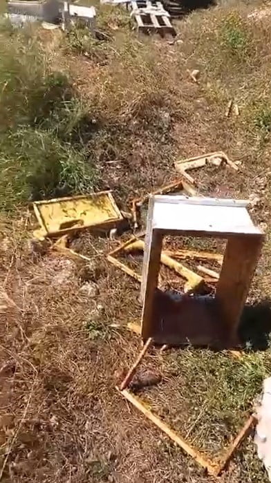 ALANYA İLÇESİNDE YAYLADA BULUNAN ARI KOVANLARINA GİREN AYILAR, ÇOK SAYIDA KOVANA ZARAR VERDİ.