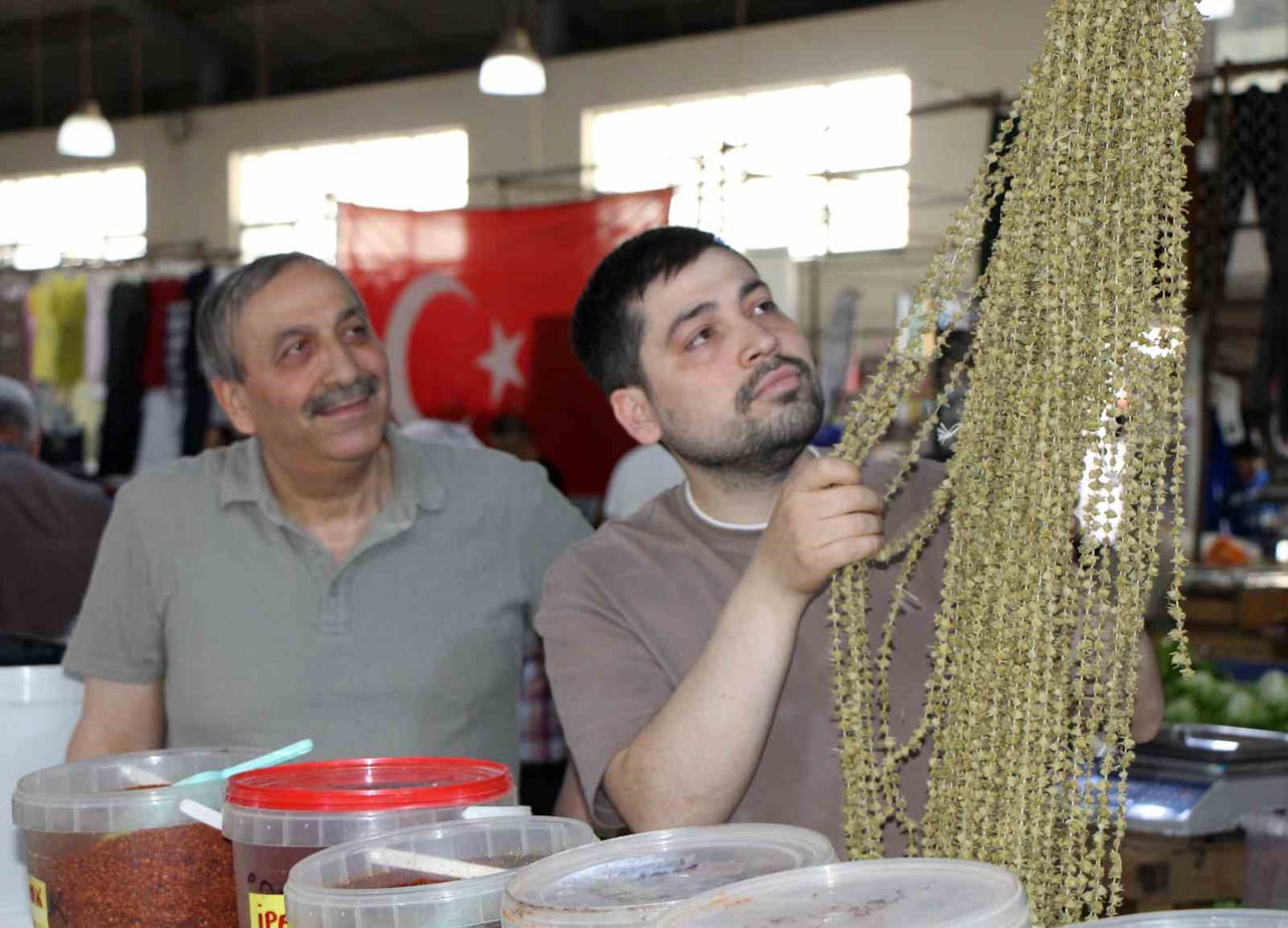 AMASYA'DA ÜRETİCİLER, AFRİKA ÜLKESİ UGANDA'DAN TÜRKİYE'YE GETİRİLEN BENZER ŞEKİLDEKİ BAMYANIN...