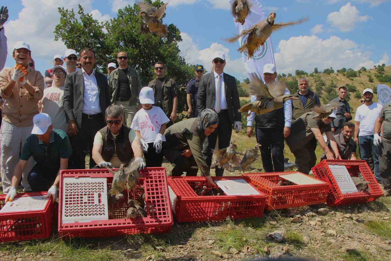 AMASYA’DA ÖLÜMCÜL KENE BAŞTA OLMAK ÜZERE ZARARLILARLA BİYOLOJİK MÜCADELE İÇİN 300 KINALI KEKLİK...