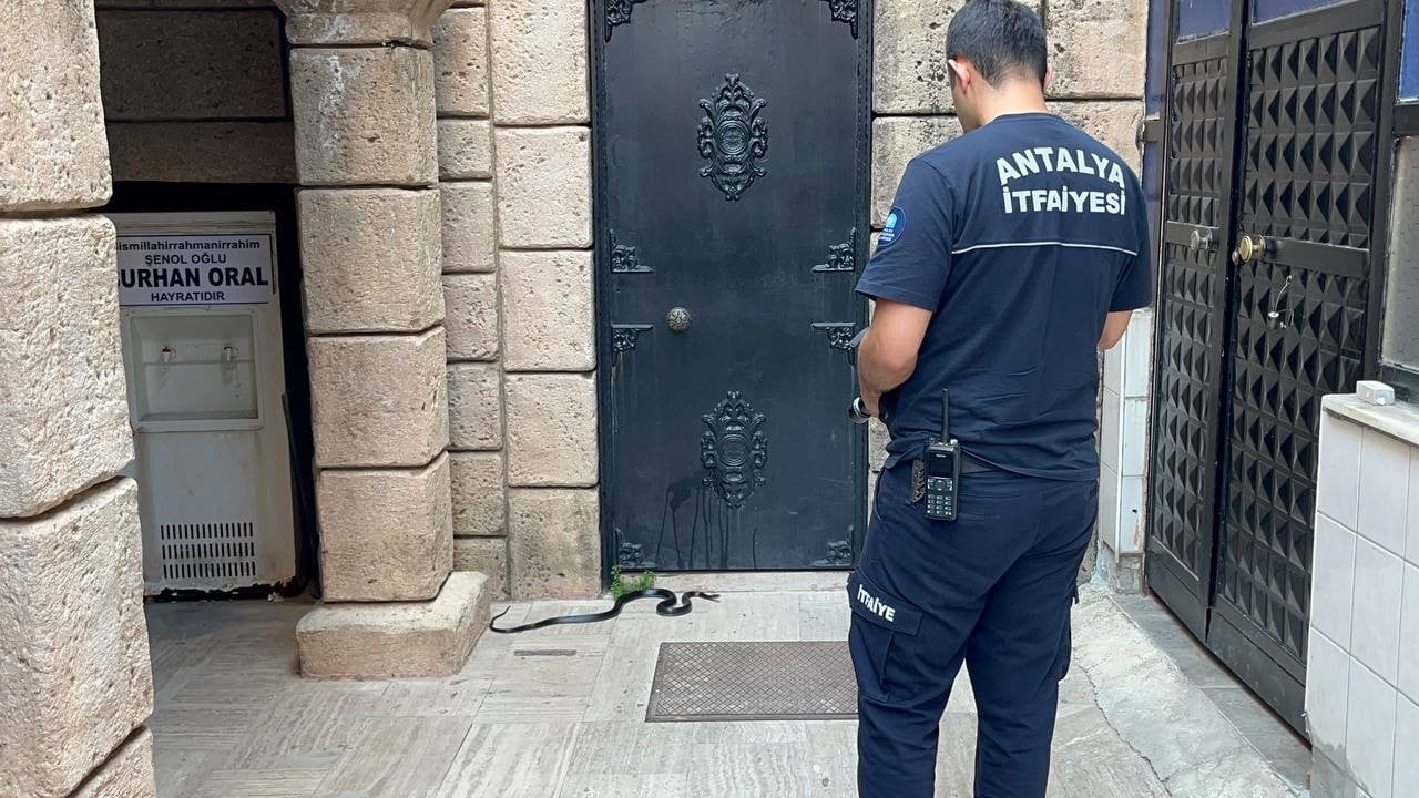 ANTALYA'DA BİR CAMİNİN ABDEST ALINAN KISMINA GELEN 1,5 METRELİK SİYAH YILAN GÖRENLERİ HAYRETE...