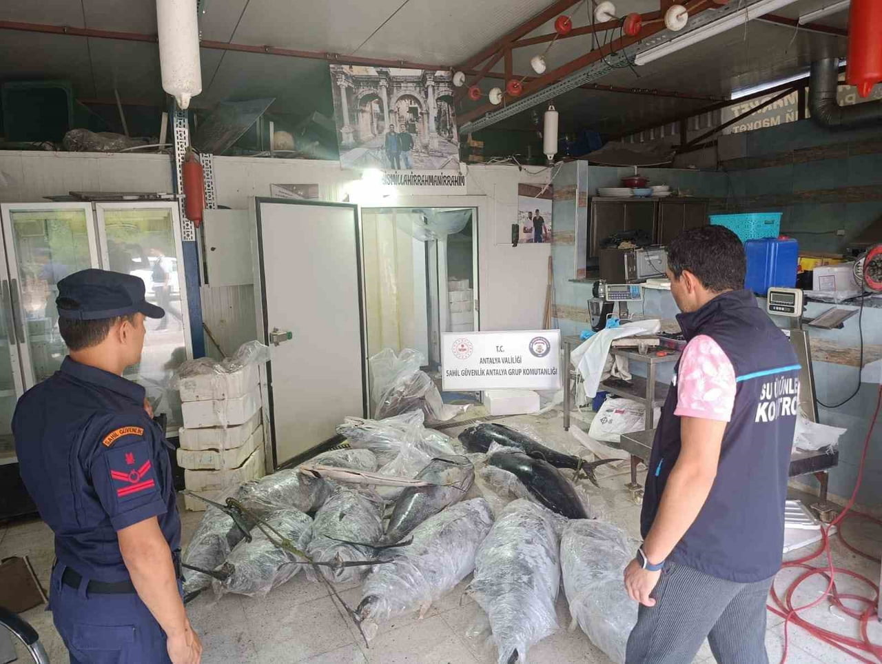 ANTALYA'DA BİR DEPODA YAPILAN İNCELEMEDE  AVLANMASI VE SATIŞI YASAK OLAN ARALARINDA KALKAN VE MAVİ...