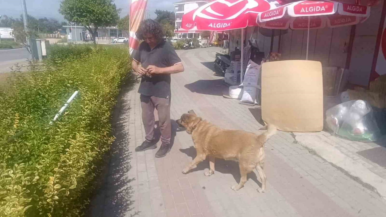 ANTALYA'DA MOTOSİKLET TAMİRCİSİ, MAMA VERDİĞİ VE ERTESİ GÜN İŞ YERİNİN KAPISINA GELEN GÖZLERİ...
