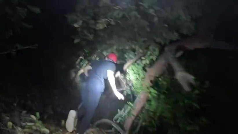 ANTALYA'DA ORMANLIK ALANDA YÜRÜYÜŞ YAPARKEN KAYBOLAN ALMAN UYRUKLU ŞAHIS AFAD VE JANDARMA EKİPLERİ...