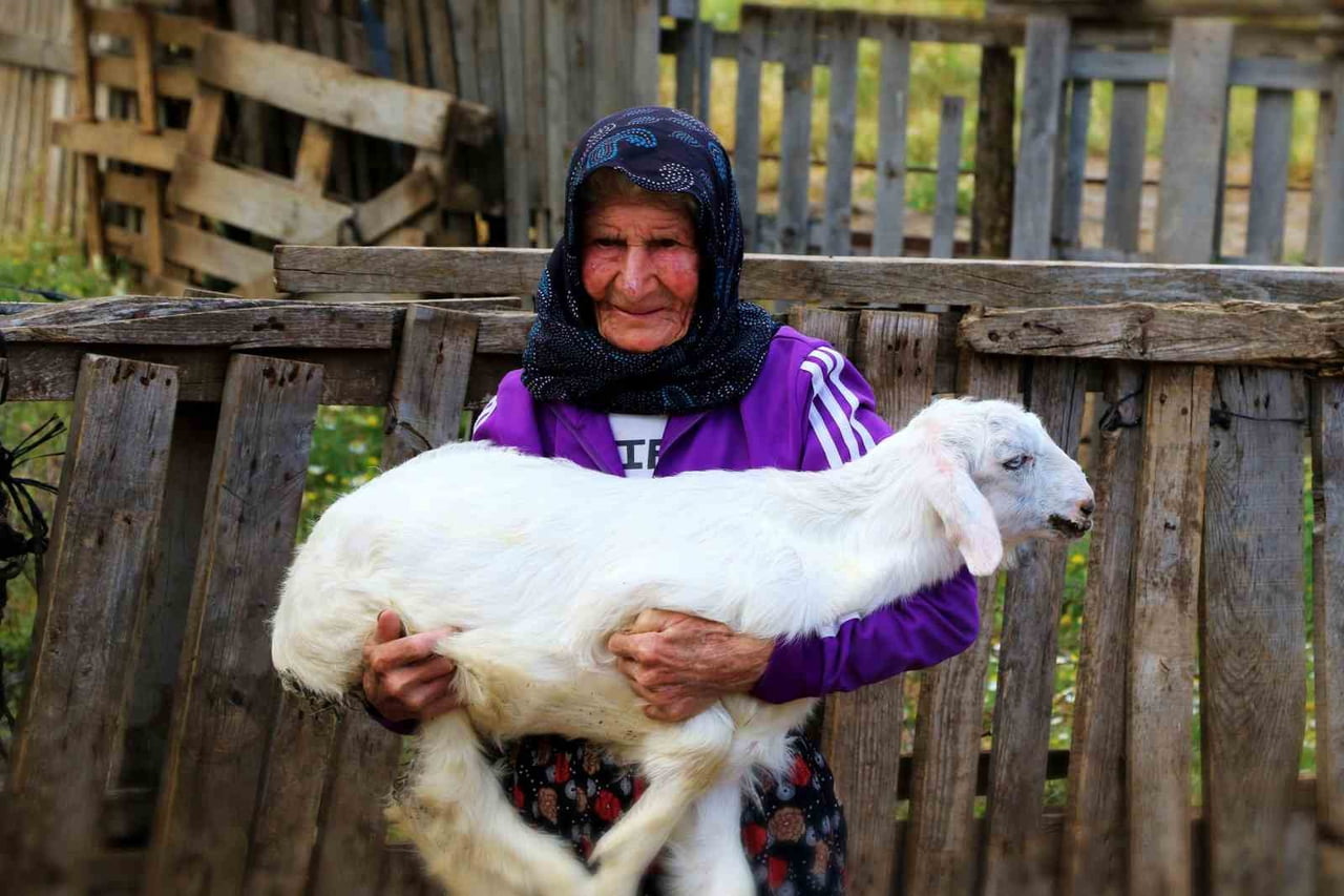 ANTALYA'DA YAŞAYAN 94 YAŞINDAKİ EMİNE TEKTAŞ, YAKLAŞIK 90 YILDIR SÜRDÜRDÜĞÜ ÇOBANLIK MESLEĞİNİ...