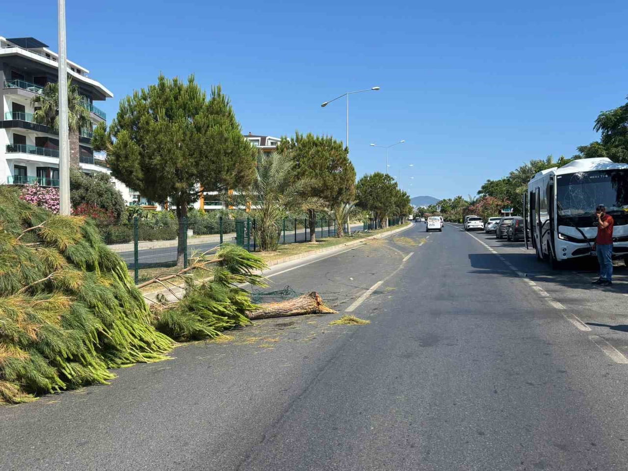 ANTALYA'NIN ALANYA İLÇESİNDE ALKOLLÜ SÜRÜCÜNÜN KULLANDIĞI TUR MİDİBÜSÜ KONTROLDEN ÇIKARAK REFÜJÜ...