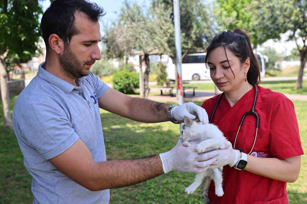 ANTALYA BÜYÜKŞEHİR BELEDİYESİ VETERİNER İŞLERİ DAİRESİ BAŞKANLIĞI’NA BAĞLI HAYVAN AMBULANSI...