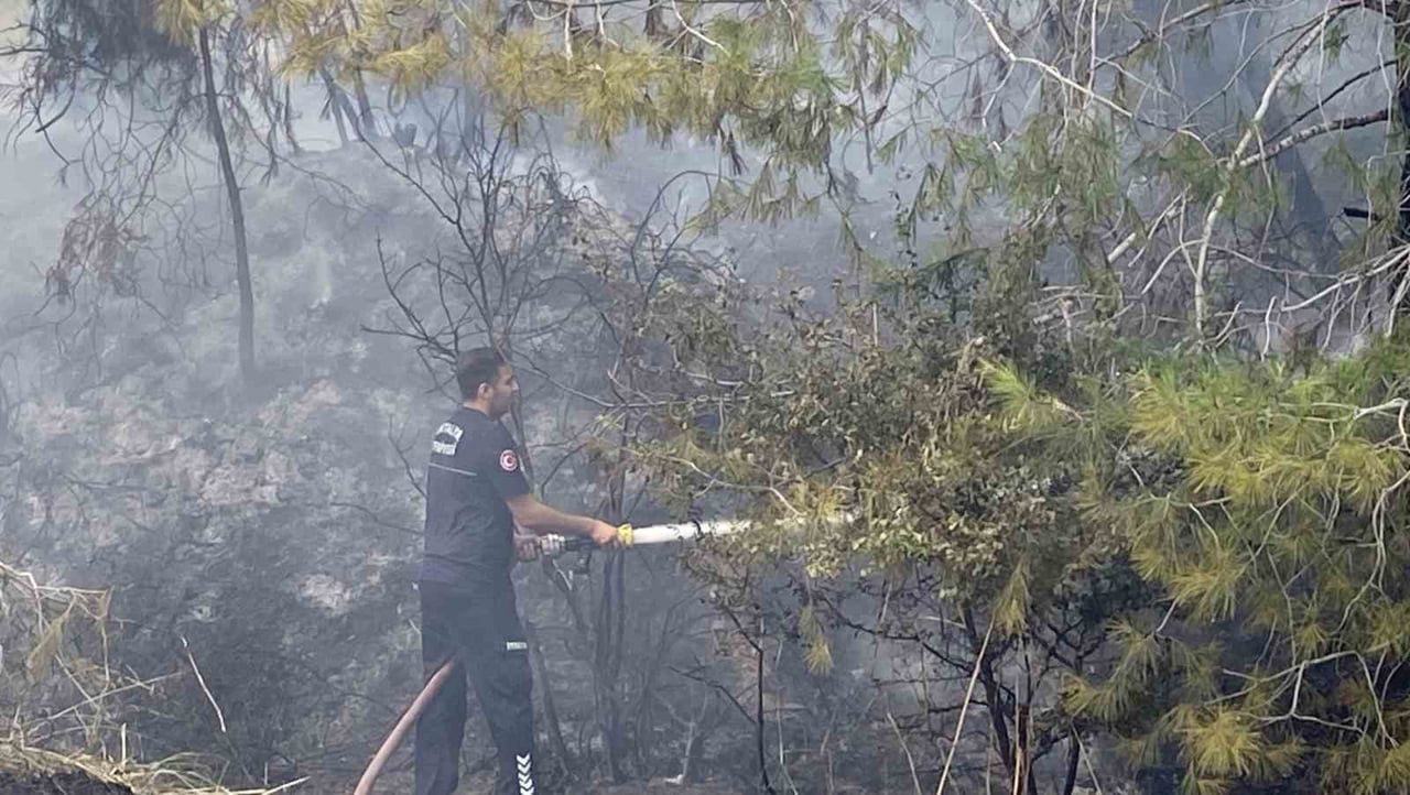 ANTALYA’NIN AKSU İLÇESİNE BAĞLI HACIALİLER MAHALLESİ’NDE BUGÜN ÖĞLE SAATLERİNDE ÇIKAN ORMANLIK...