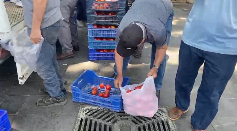 ANTALYA’NIN SERİK İLÇESİNDE BİR ÜRETİCİ, TOPTANCI HALİNDE ALICI BULAMADIĞI YAKLAŞIK 4 TON DOMATESİ...