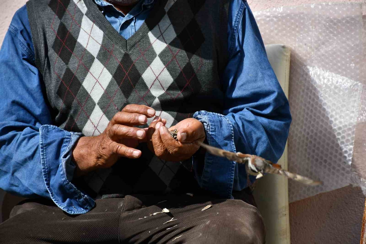 ARDAHAN’IN DAMAL İLÇESİNDE YAŞAYAN İRFAN AYDIN, KENDİ ELLERİYLE KIRDIĞI ÇEKİRDEKLERİ KUŞLARLA...