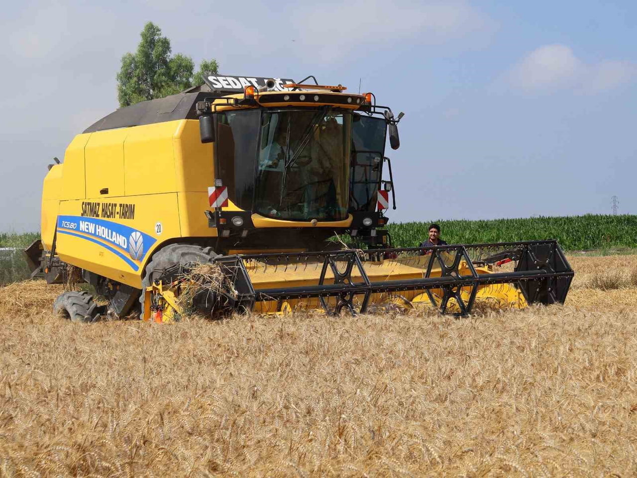 ARSUZ KAYMAKAMI FATİH EROĞLU, ÜÇGÜLLÜK MAHALLESİ’NDE GERÇEKLEŞTİRİLEN BUĞDAY HASADINA KATILARAK...
