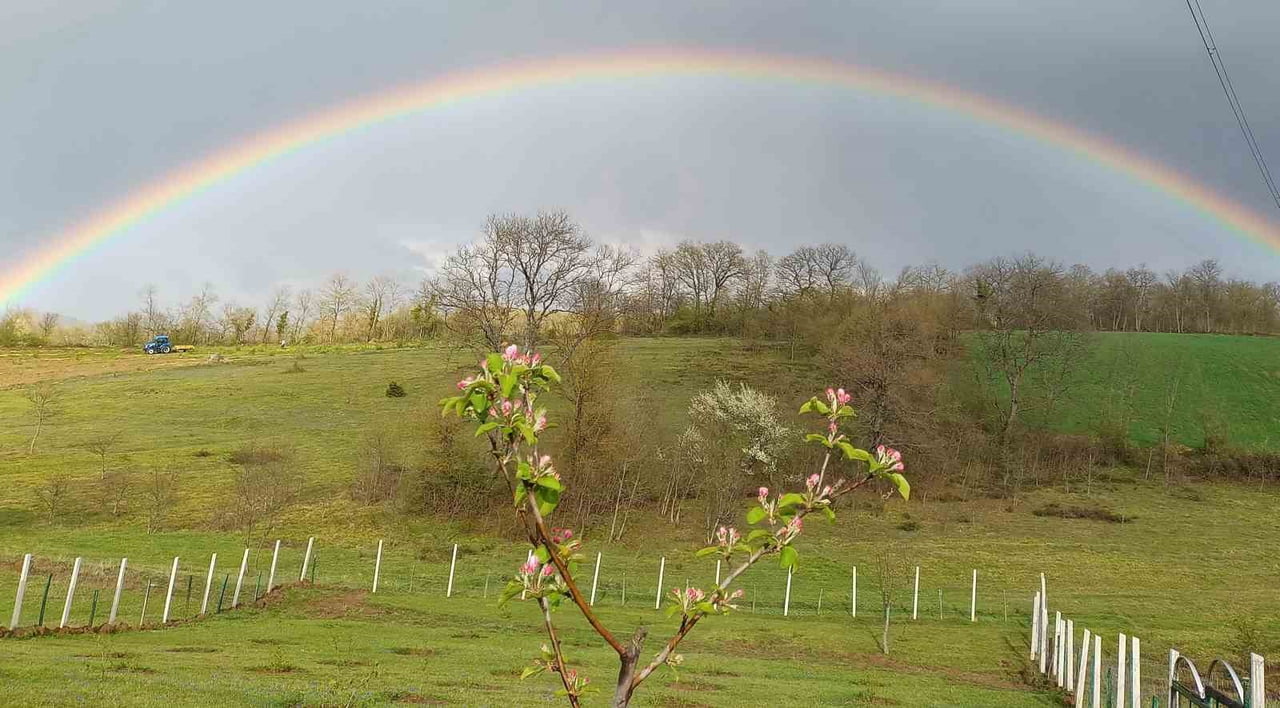 ATAKUM BELEDİYESİNİN DÜZENLEDİĞİ 2. EN GÜZEL BAHÇE YARIŞMASI’NDA BAŞVURU SÜRESİ 22 HAZİRAN...
