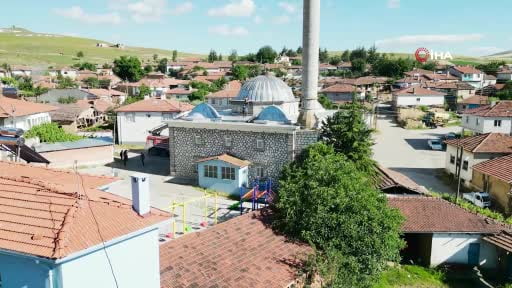 Ayağı yuvasındaki ipe takılan yavru leyleği itfaiye kurtardı