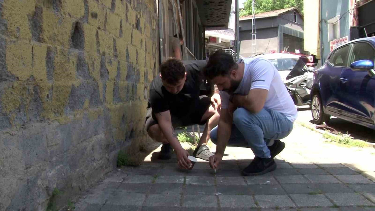 AYAZAĞA MAHALLESİ'NDE GÖRÜLEN ÇOK SAYIDA KENE, MAHALLE SAKİNLERİNİ TEDİRGİN ETTİ.
