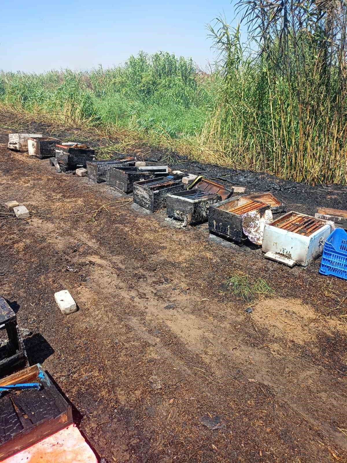 AYDIN'IN İNCİRLİOVA İLÇESİNDE ÇIKAN YANGINDA 20 ARI KOVANI YANARKEN, BİNLERCE ARI TELEF OLDU....