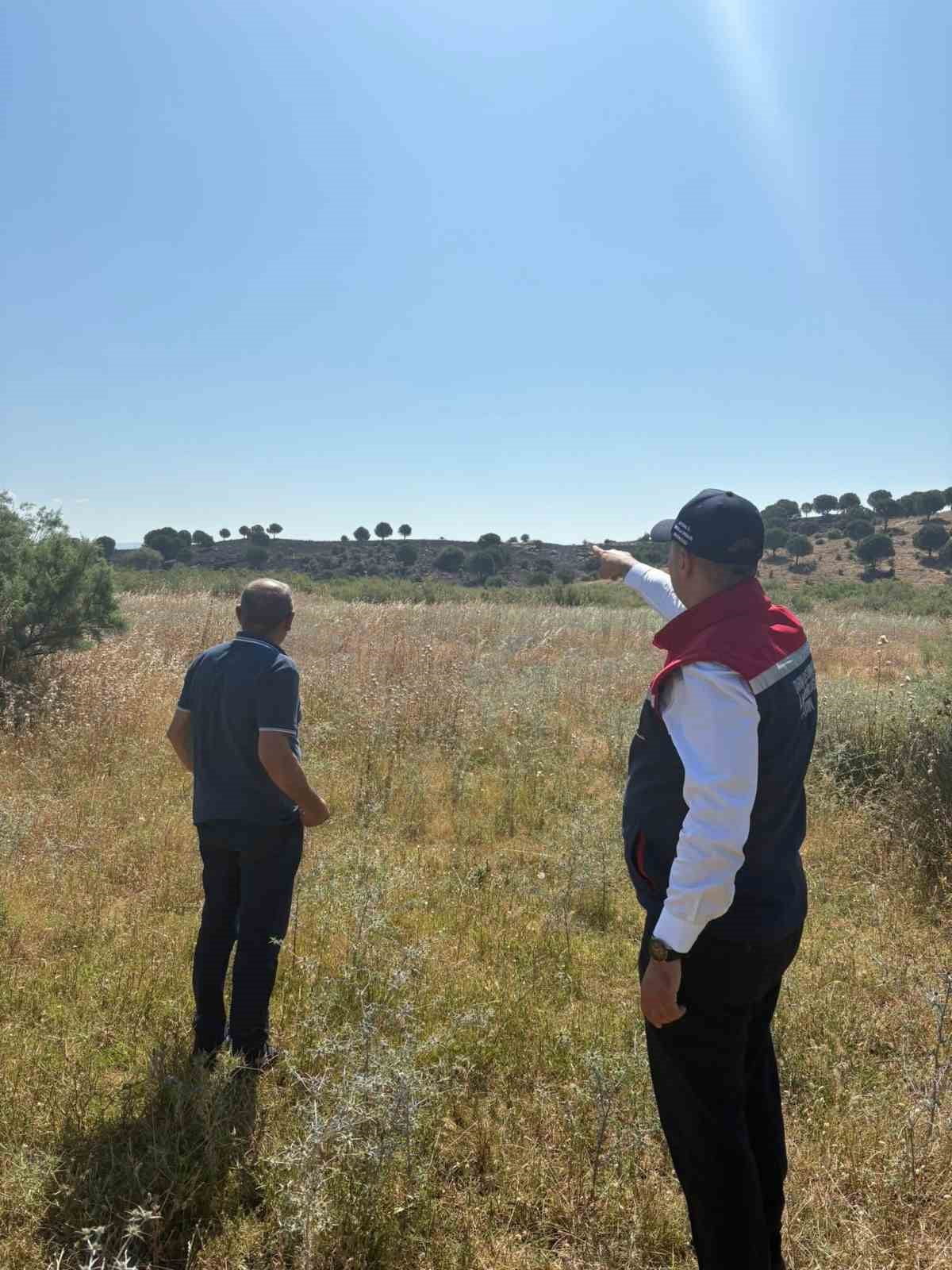 AYDIN'IN SÖKE İLÇESİNDE TARIM ARAZİLERİNDE MEYDANA GELEN YANGINDA ZARAR GÖREN ALANLAR VE YANAN...