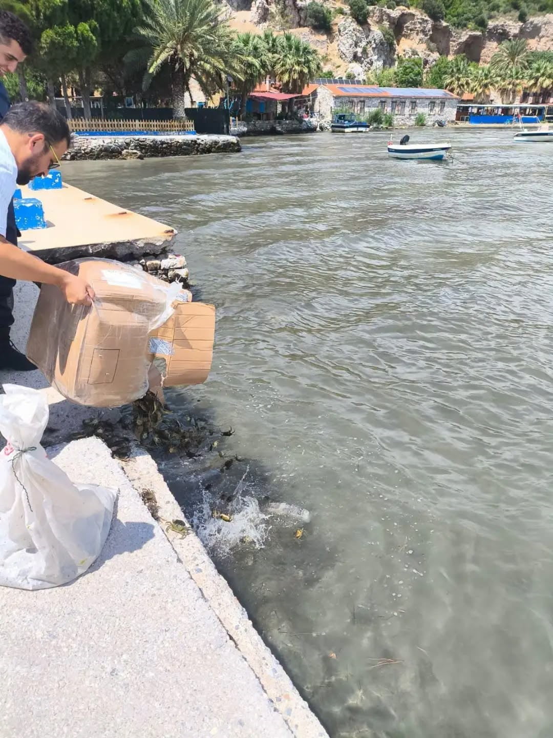 AYDIN'IN SÖKE İLÇESİNDE YAPILAN DENETİMDE, MENŞE BELGESİ OLMADAN TAŞINAN YAKLAŞIK 60 KİLOGRAM...
