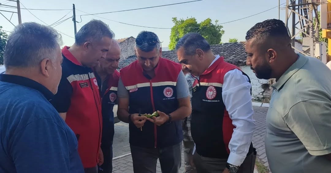 AYDIN İL TARIM VE ORMAN MÜDÜRÜ AYHAN TEMİZ, İNCİR ÜRETİMİNDE KALİTE VE VERİM AÇISINDAN BÜYÜK ÖNEM...